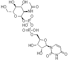 结构式 CAS# 528-04-1, 尿苷 5'-(2-乙酰氨基-2-脱氧-alpha-D-葡糖基焦磷酸酯)