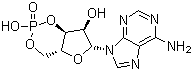 Cyclic AMP molecular structure (CAS 60-92-4)
