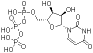 结构式 CAS# 63-39-8, 尿苷-5'-三磷酸