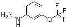 structure of CAS# 650628-49-2, [3-Trifluoromethoxyphenyl]hydrazine