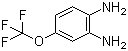 structure of CAS# 658-89-9, 4-(Trifluoromethoxy)benzene-1,2-diamine;1,2-Diamino-4-(trifluoromethoxy)benzene