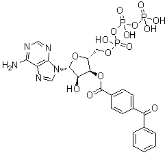 结构式 CAS# 81790-82-1, 腺苷 5'-(三磷酸四氢酯) 3'-(4-苯甲酰基苯甲酸酯)