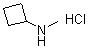 structure of CAS# 848497-98-3, N-Methylcyclobutanamine hydrochloride
