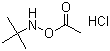 结构式 CAS# 851074-40-3, N-(乙酰基氧基)-2-甲基-2-丙胺盐酸盐