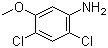 2,4-Dichloro-5-methoxyaniline molecular structure (CAS 98446-49-2)